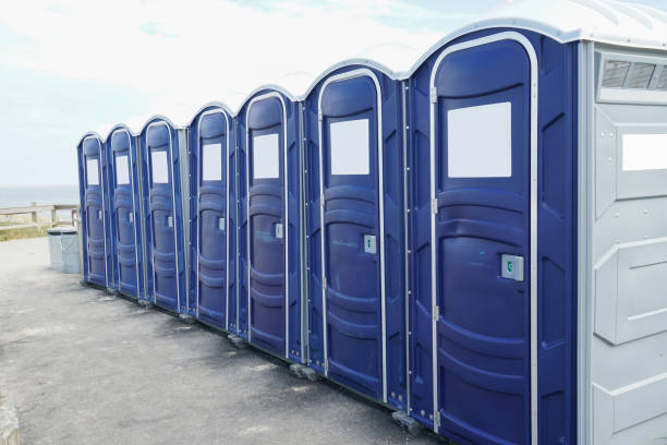 Best Portable Toilets with Baby Changing Stations  in Fitchburg, MA